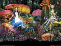 Alice Poster 85