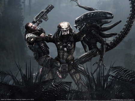 Aliens Vs. Predator Poster #109