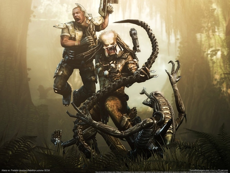Aliens Vs. Predator poster
