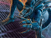 Aliens Vs. Predator 2 poster