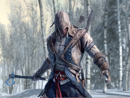 Assassin's Creed III Poster #261