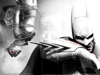 Batman: Arkham City Poster 341