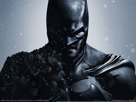 Batman: Arkham Origins Poster #351