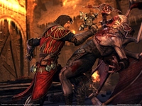 Castlevania: Lords of Shadow puzzle 593