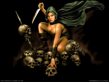 Conan: The Dark Axe Poster #732