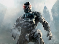 Crysis 2 puzzle 771