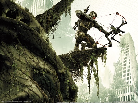 Crysis 3 Poster #788