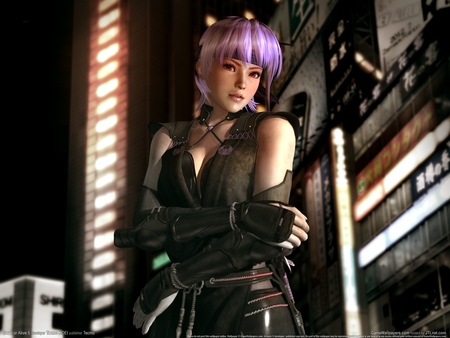 Dead or Alive 5 posters