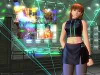 Dead or Alive Ultimate puzzle 882
