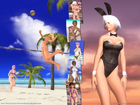 Dead or Alive Xtreme Beach Volleyball poster