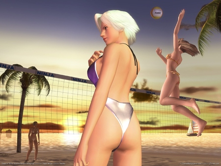 Dead or Alive Xtreme Beach Volleyball Poster #885