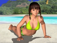 Dead or Alive Xtreme Beach Volleyball Stickers 888