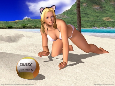 Dead or Alive Xtreme Beach Volleyball Poster #893