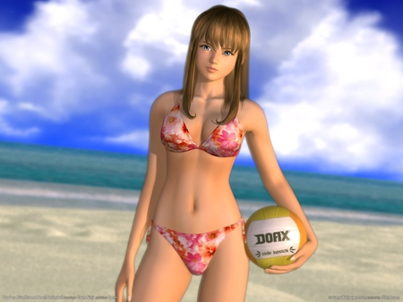 Dead or Alive Xtreme Beach Volleyball Poster #895