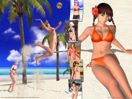 Dead or Alive Xtreme Beach Volleyball Poster #896