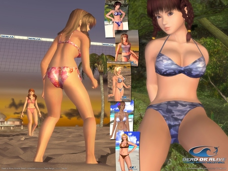 Dead or Alive Xtreme Beach Volleyball Stickers #897