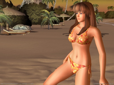 Dead or Alive Xtreme Beach Volleyball Poster #898