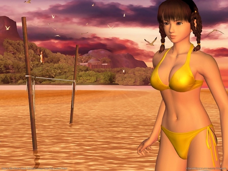 Dead or Alive Xtreme Beach Volleyball Poster #900