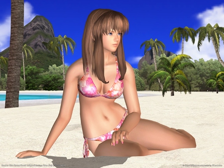 Dead or Alive Xtreme Beach Volleyball Poster #901