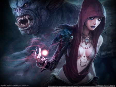 Dragon Age: Origins Poster #1204