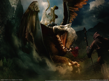 Dragon's Dogma Poster #1221