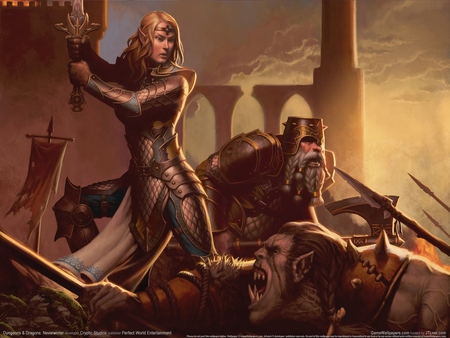 Dungeons & Dragons: Neverwinter posters
