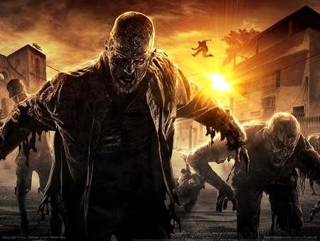 Dying Light Poster #1292