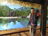 Far Cry puzzle 1453