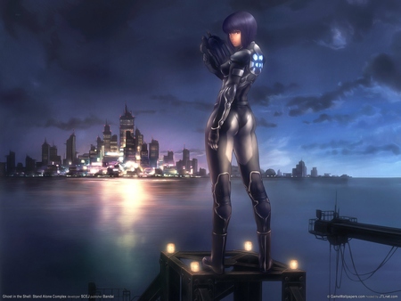 Ghost in the Shell: Stand Alone Complex puzzle #1669
