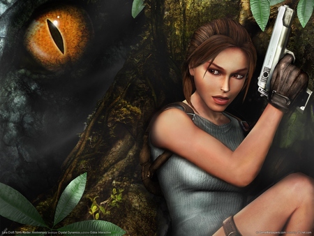 Lara Croft Tomb Raider: Anniversary poster
