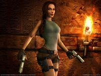 Lara Croft Tomb Raider: Anniversary Tank Top #2302