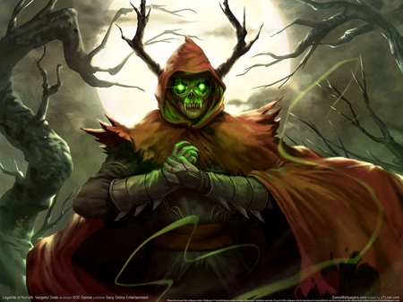 Legends of Norrath: Vengeful Gods hoodie