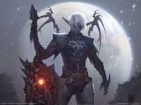 Lineage 2: The Chaotic Chronicle puzzle 2379