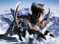 Monster Hunter 2 puzzle 2628