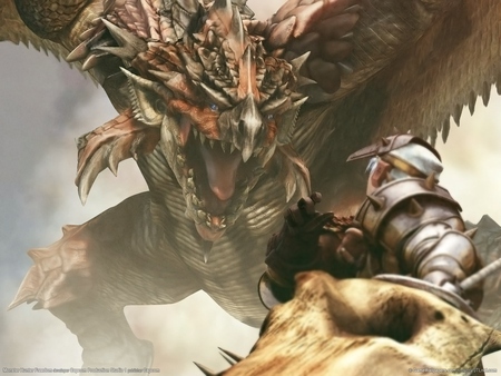 Monster Hunter Freedom puzzle #2629