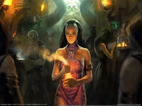 Neverwinter Nights 2: Storm of Zehir Poster 2776