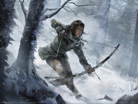 Rise of the Tomb Raider Poster #3291