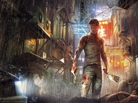 Sleeping Dogs puzzle 3485