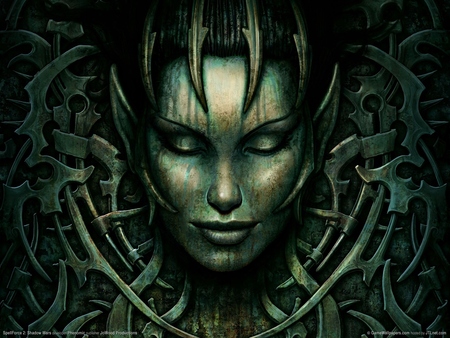 SpellForce 2: Shadow Wars poster