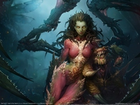 StarCraft 2: Heart of the Swarm puzzle 3792