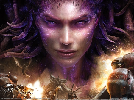 StarCraft 2: Heart of the Swarm Poster #3797