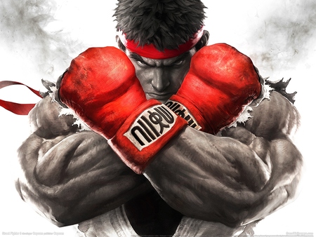 Street Fighter 5 Poster #3829
