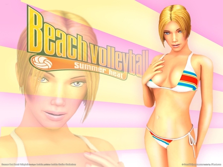 Summer Heat Beach Volleyball Poster #3856