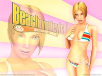Summer Heat Beach Volleyball Stickers 3856
