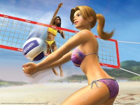 Summer Heat Beach Volleyball pillow