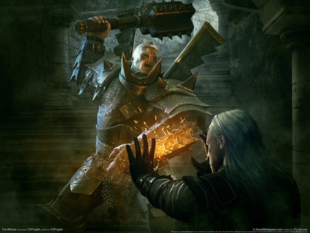 The Witcher Poster #4145
