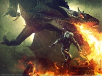The Witcher 2: Assassins of Kings - Enhanced Edition puzzle 4170