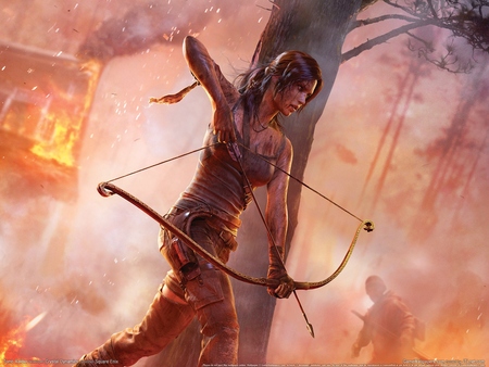 Tomb Raider Poster #4297