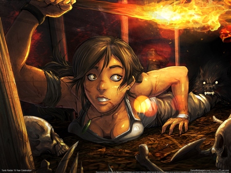 Tomb Raider 15 - Year Celebration poster