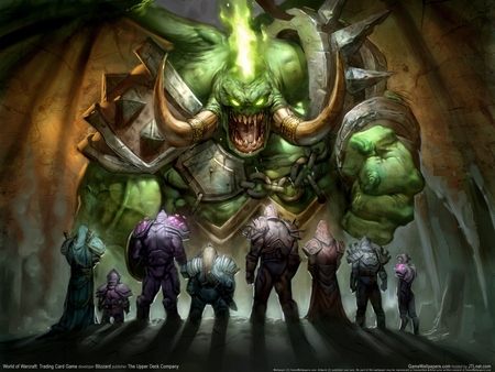 World of Warcraft: Trading Card Game Poster #4802